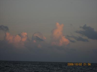 うさぎ雲  ＆  カルガモ雲