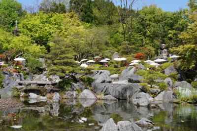 美しい浄土庭園と素晴らしい寺宝