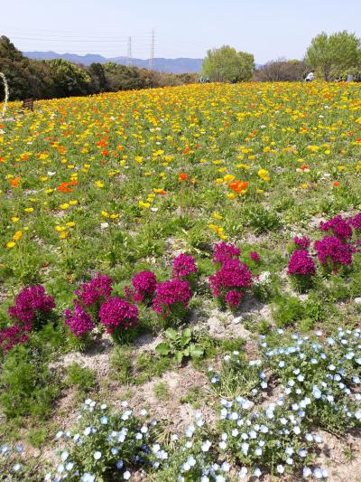 とても広い。緑に囲まれリラックス