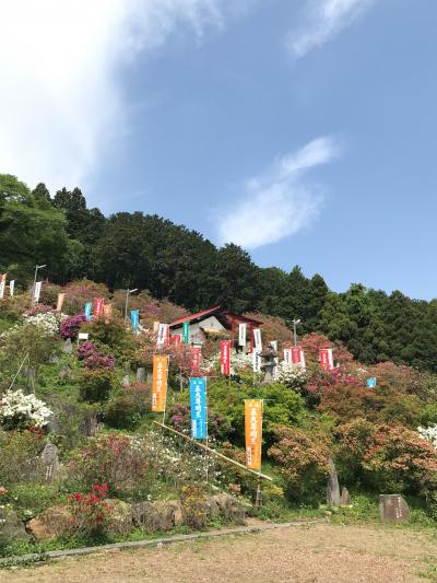 五大尊花木公園つつじ祭り