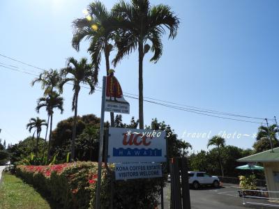 見学無料、焙煎体験は有料です！