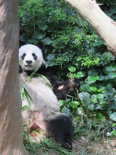 動物園とセットで