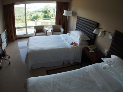 窓を開けっ放しで外出すると、猿に部屋が荒らされます...笑