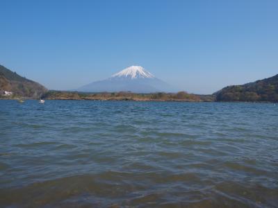 思ったより透明度はない湖