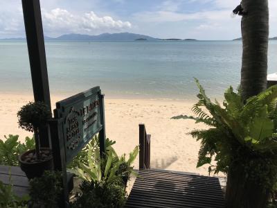 レストランからの景色も良い感じでした