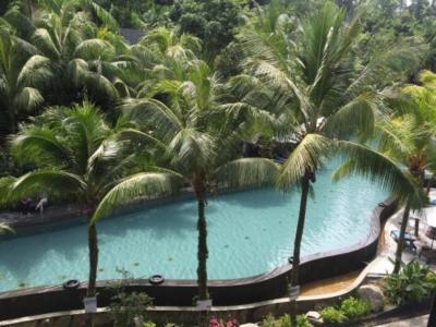 滞在中なんども利用したプール