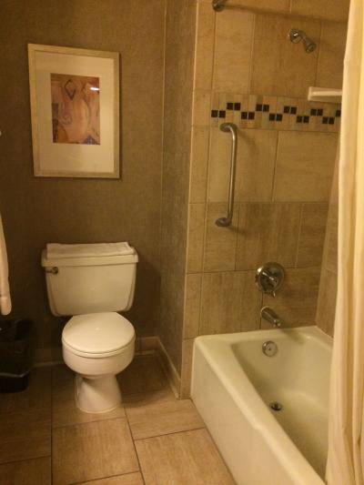 シャワーの水量、水はけも問題なし