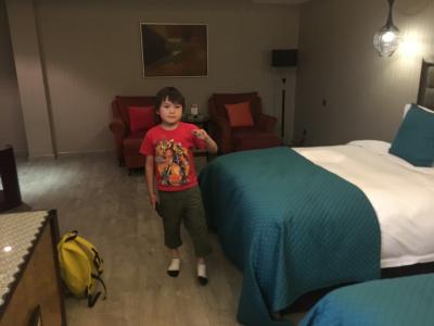 高級感漂う客室