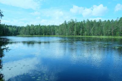 森と湖の美しさに感動＾＾