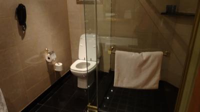 トイレは独立、もちろんシャワールームもあります