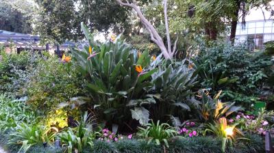 ここの中庭が素敵です