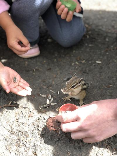 小樽の景色を一望