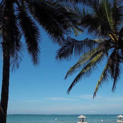 〈送迎あり〉バリ最終日の半日スパ利用で。