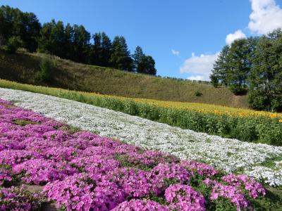 ワイン工場だけじゃない！