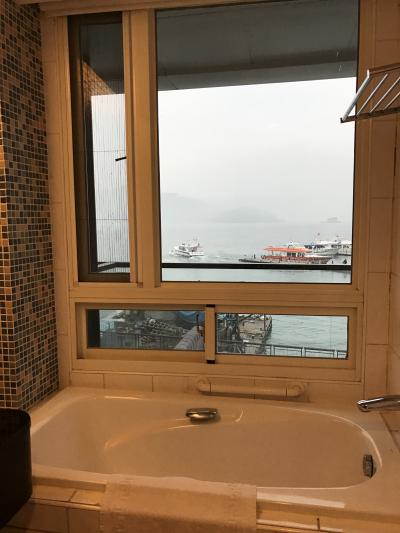 遊覧船の船着き場が見える