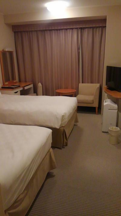 東京駅が綺麗でした