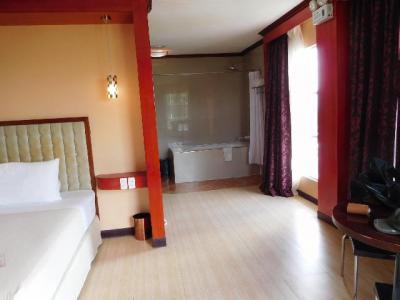 バスルームは独立してなくて、カーテンで仕切るおかしな部屋も。