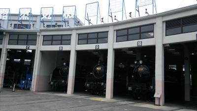 子供も大人も楽しめる