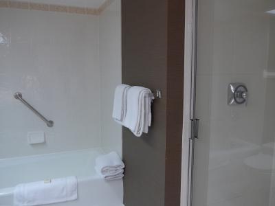 バスタブと固定式シャワーのシャワーブース