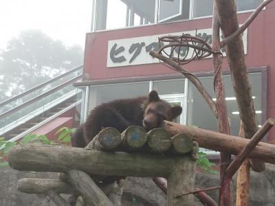 【のぼりべつクマ牧場】クマ好きには良いでしょう