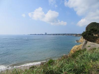 食事がおいしい