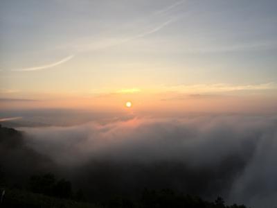 見ると感動！運だめし