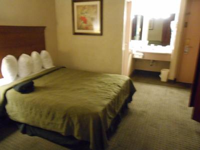 落ち着いた客室