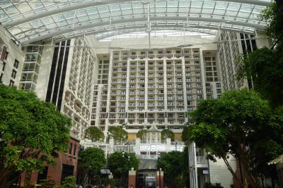 緑があふれる空間です