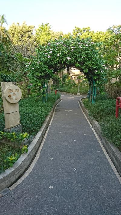 まるで森の中に居るような気分にさせてくれます。