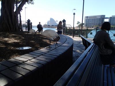 散策していると…