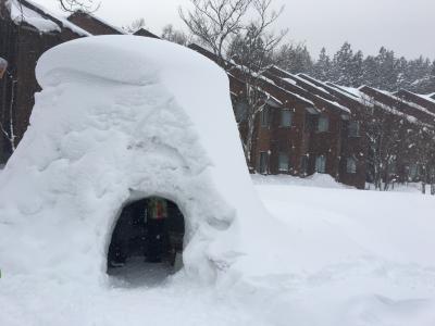 冬もすごく綺麗！