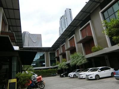 思ってたより大きくて綺麗