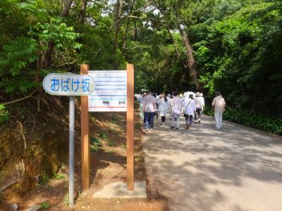 おばけ坂の看板有りました。なかったら、わからない