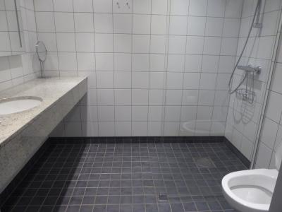 シャワーだけでした