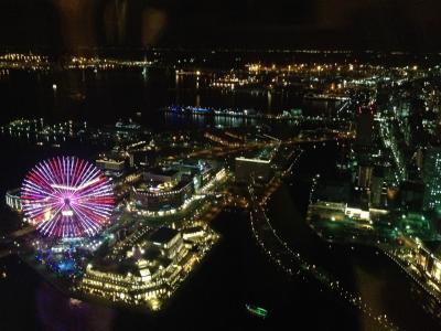 夜景が最高です