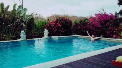 とても大きなプライベートプールです。