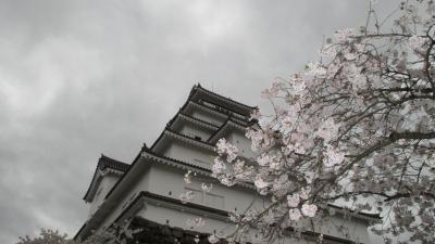 会津若松の桜の名所