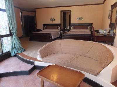 リビングから庭の動物が見えます