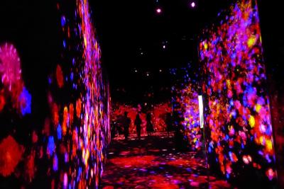 新しい形の美術館