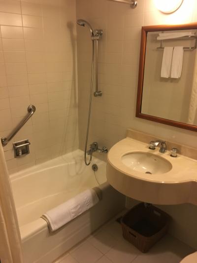 広めの湯船。水圧も普通でした。音と設定難し目。