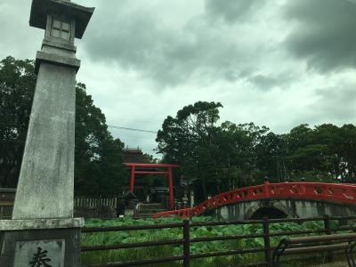 赤い鳥居・蓮・茅ぶきが神話みたいです