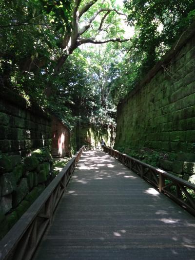 横須賀グルメ切符を使って1日横須賀を堪能しました