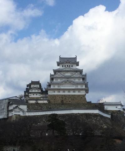 愛称の通り真っ白