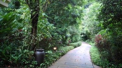 ヴィラまでの道。ジャングル散策しているかのよう。