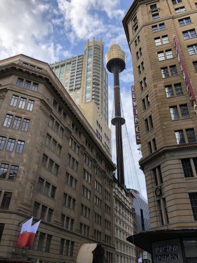 360°の景色を見たければここ