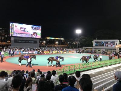 初めての地方競馬にオススメ