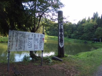 池の周りの公園