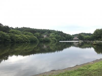 お手軽に星野