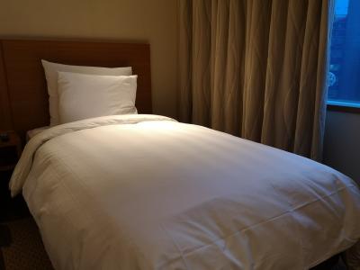 少し良いビジネスホテルのような感じ