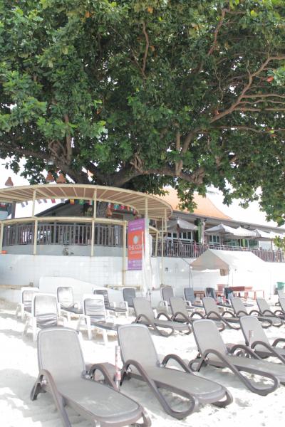 ビーチチェア。写真の３倍は置いてあります。